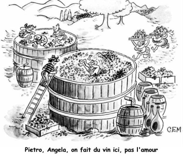 On fait du vin-humourenvrac
